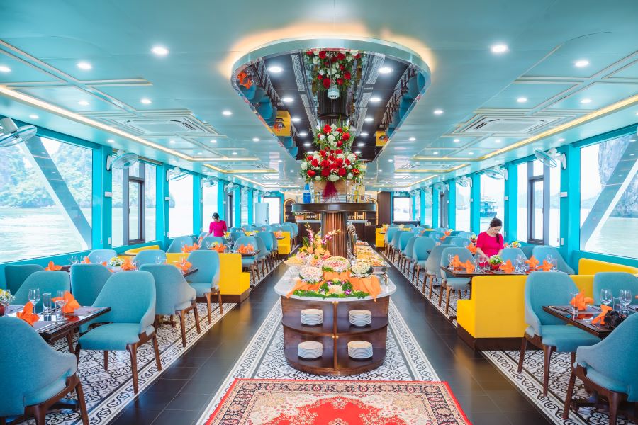 apollo premium cruise day tour