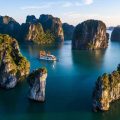 bai tu long bay