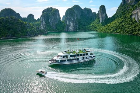 sonata cruise day tour
