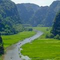tam coc rice fields